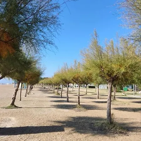 Beachfront Plaza *