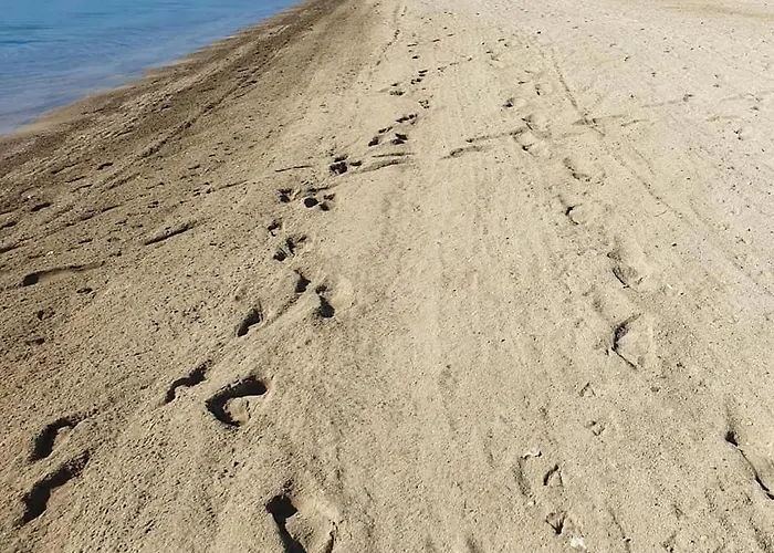 Beachfront Plaza * 오미스