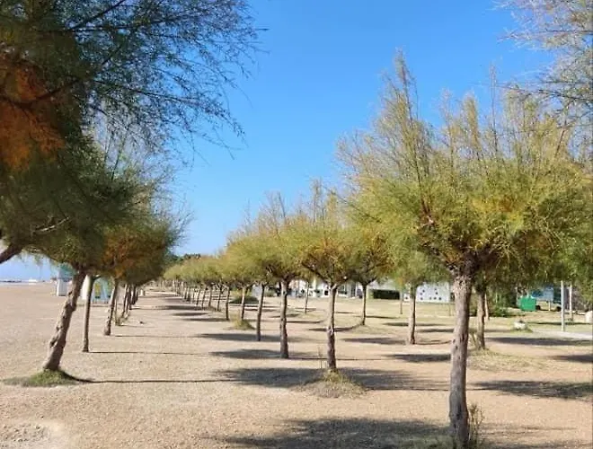 Beachfront Plaza *